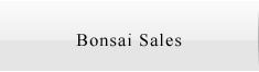 Bonsai Sales